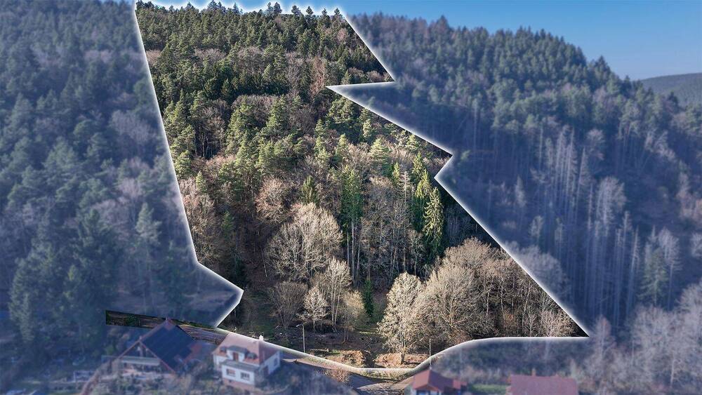 Grundstück Elmstein Schafhof - 165.000&euro; | Angebot:26155236