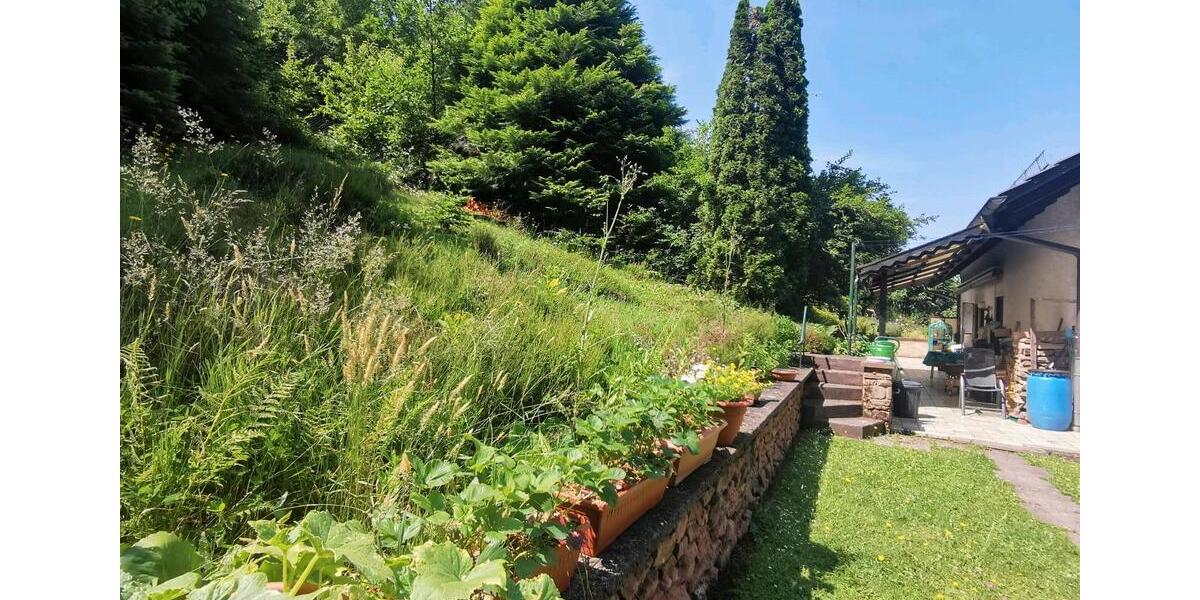 Erdgeschoßwohnung Wilgartswiesen - 3 Zimmer, 140 m&sup2;, 1.300&euro; | Angebot:26124462
