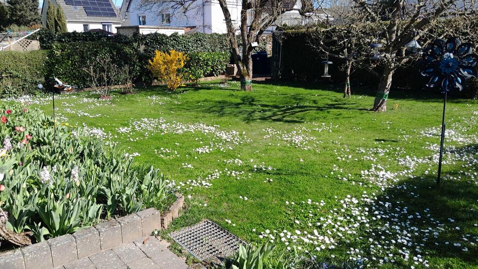 Reihenhaus Meisenheim - 5 Zimmer, 86 m&sup2;, 370.000&euro; | Angebot:25989329