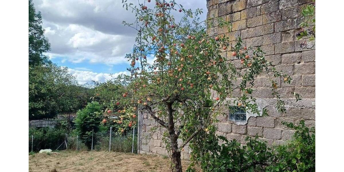 Einfamilienhaus Winnweiler Alsenbrück-Langmeil - 4 Zimmer, 95 m&sup2;, 140.000&euro; | Angebot:25707635