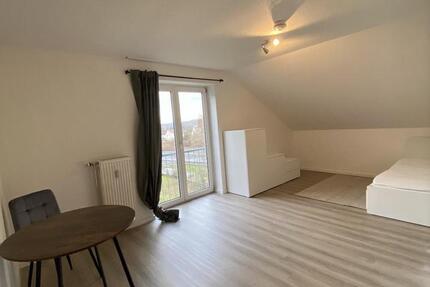 Wohnung Kaiserslautern Einsiedlerhof - 1 Zimmer, 21 m&sup2;, 450&euro; | Angebot:25122915