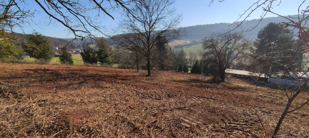 Grundstück Neuhemsbach - 115.000&euro; | Angebot:25691406