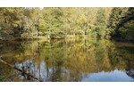Teichanwesen mitten im Wald Südwestpfalz zimmer