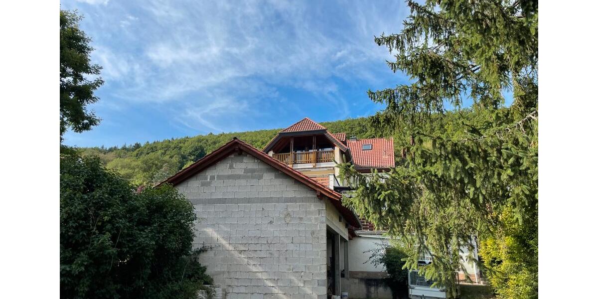 Einfamilienhaus Rockenhausen - 11 Zimmer, 196 m&sup2;, 375.000&euro; | Angebot:26368376