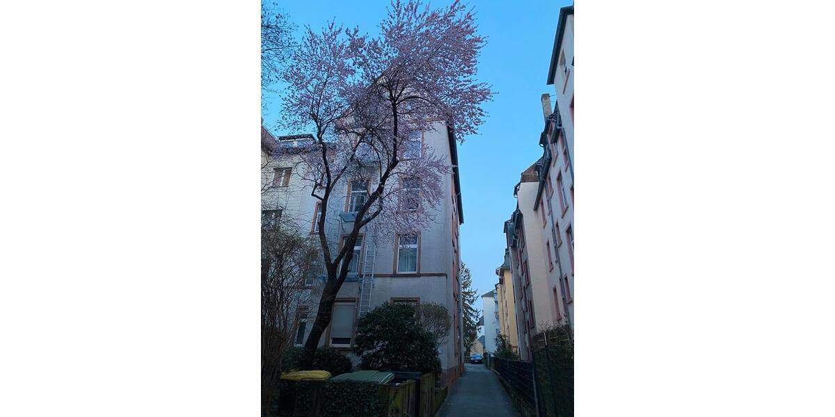 Etagenwohnung Kaiserslautern Bahnheim - 3 Zimmer, 68 m&sup2;, 460.000&euro; | Angebot:26638618