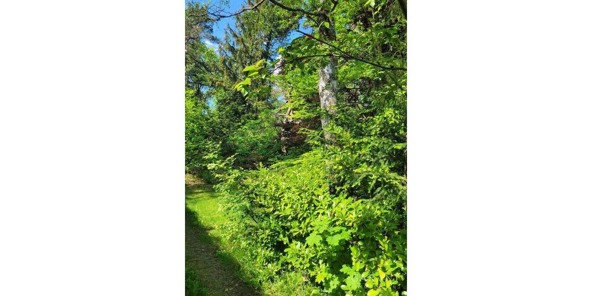 Grundstück Trippstadt - 130.000&euro; | Angebot:24532818