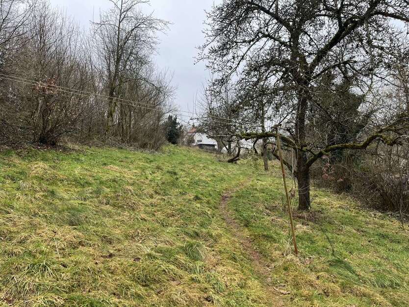 Grundstück zu verkaufen in Winterbach (Pfalz) 50.000 € 998 m²