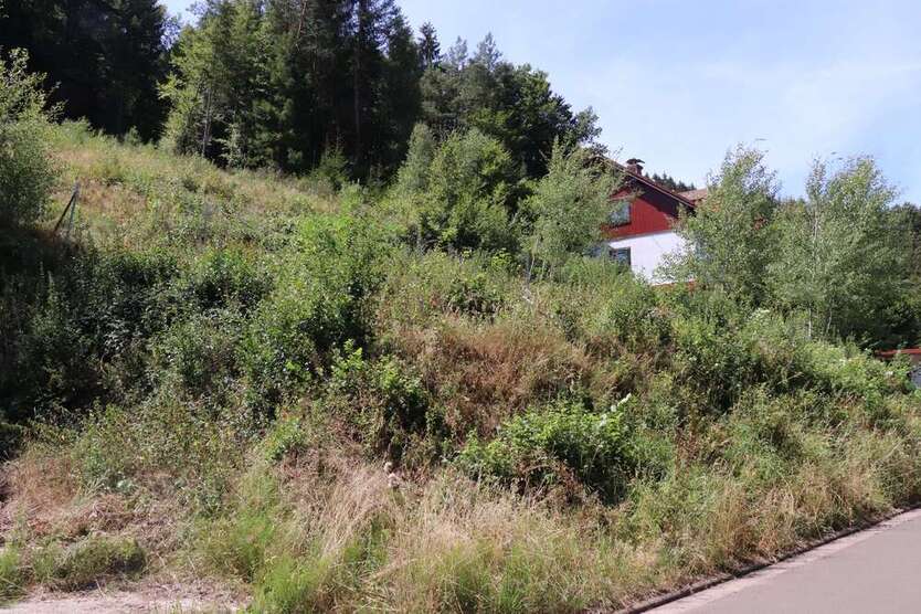 Grundstück zu verkaufen in Horbach 45.000 € 1355 m²