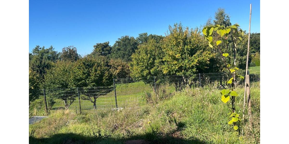 Einfamilienhaus Kaiserslautern Engelshof - 640.000&euro; | Angebot:25045000