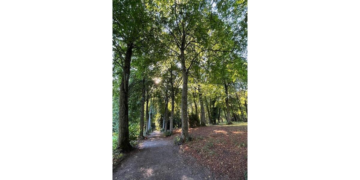 Erdgeschoßwohnung Pirmasens - 3 Zimmer, 70 m&sup2;, 149.900&euro; | Angebot:26758774