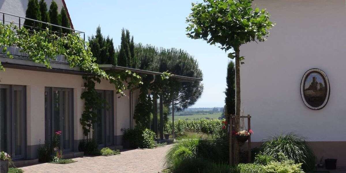 Zimmer Wachenheim an der Weinstraße - 1 Zimmer, 800&euro; | Angebot:24987912