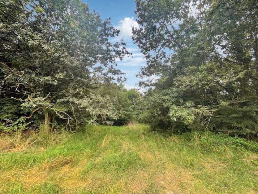 Grundstück in Kusel 580.000 € 6822 m²