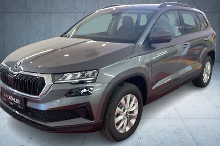 Skoda Karoq 1.100 km 31.490 &euro; Bad Dürkheim 67098