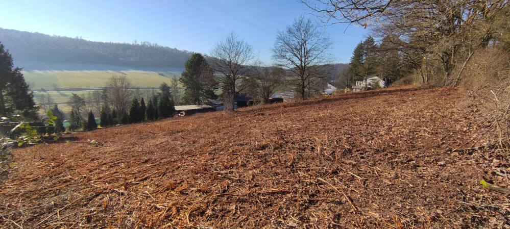 Grundstück Neuhemsbach - 115.000&euro; | Angebot:25691406