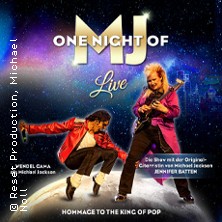 One Night of MJ - The Tribute to The King of Pop! 22.10.2026 Fritz-Walter-Stadion, Karlsberg Fanhalle Nord