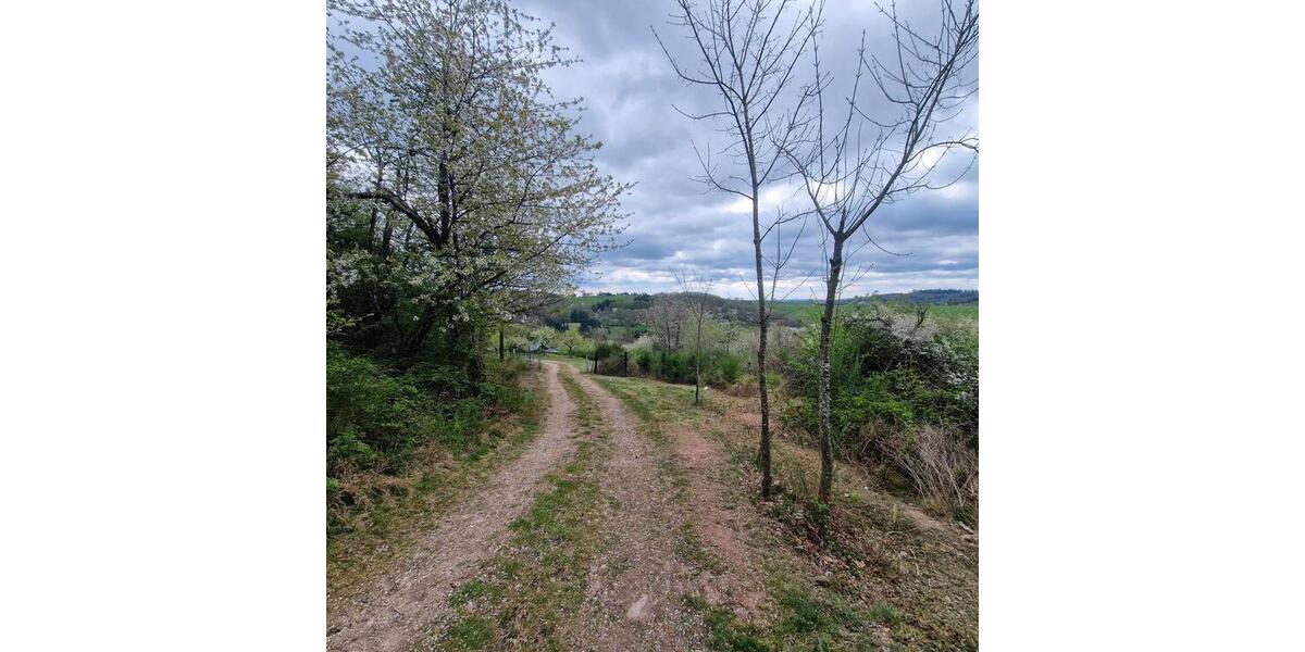 Einfamilienhaus Winnweiler - 2 Zimmer, 80 m&sup2;, 285.000&euro; | Angebot:25614200