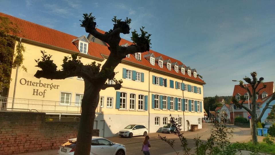 Terrassenwohnung Otterberg - 2 Zimmer, 79 m&sup2;, 912&euro; | Angebot:25965336