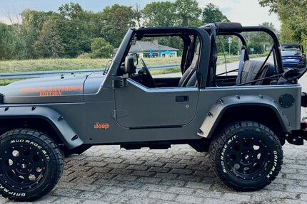 Jeep Wrangler 88.000 km 39.900 &euro; Lohnsfeld 67727