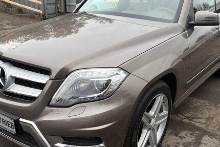 Mercedes-Benz GLK 220 198.600 km 17.350 &euro; Kirchheimbolanden 67292
