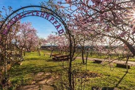 Grundstück Neustadt Gimmeldingen - 368.000&euro; | Angebot:25400874