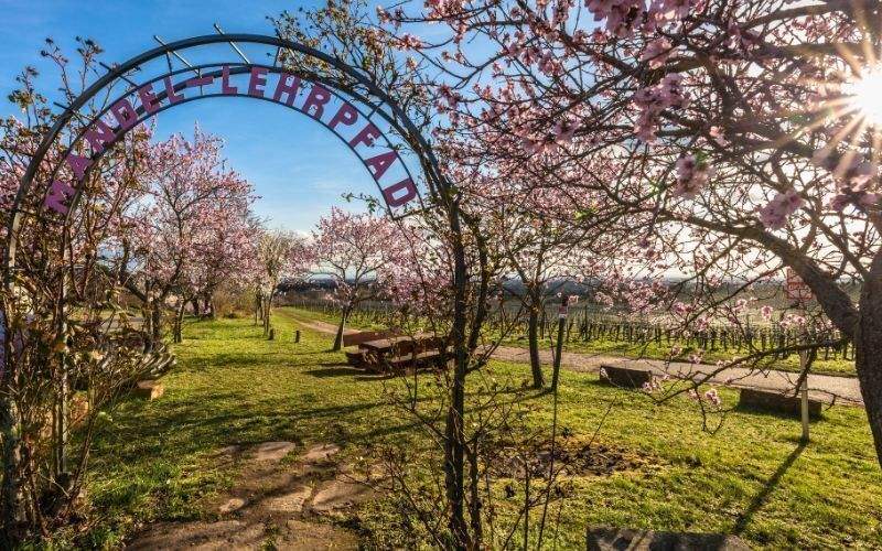 Grundstück Neustadt Gimmeldingen - 368.000&euro; | Angebot:25400874