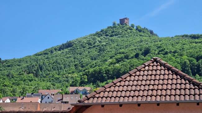 Wohnung zum Kaufen in Annweiler am Trifels 189.000 € 199 m²