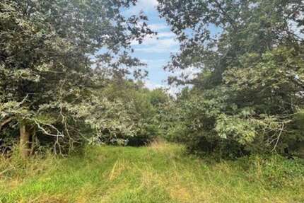 Grundstück zu verkaufen in Kusel 545.000 € 6822 m² zimmer