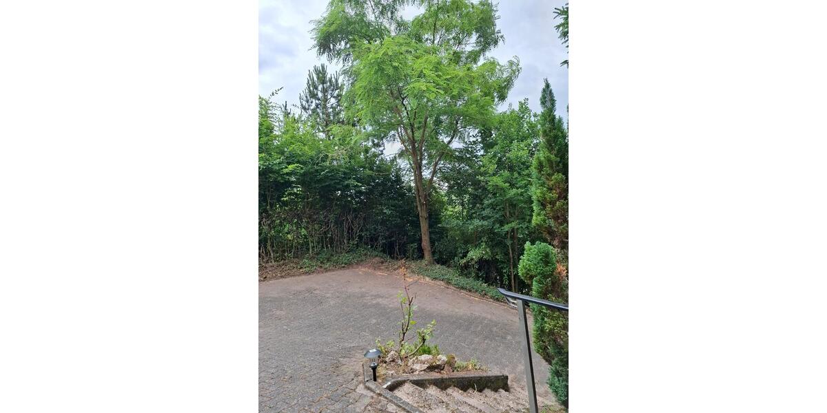 Mehrfamilienhaus, Wohnhaus Olsbrücken - 260.000&euro; | Angebot:26196613
