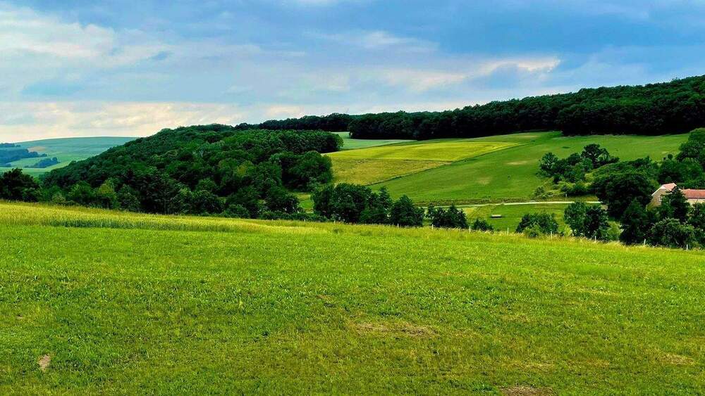 Grundstück Ransweiler - 39.995&euro; | Angebot:25755235