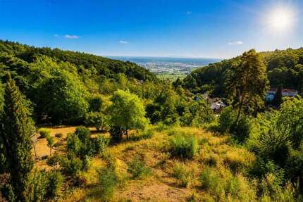 Grundstück Neustadt an der Weinstraße Diedesfeld - 599.000&euro; | Angebot:27242270