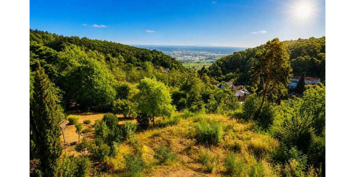 Grundstück Neustadt an der Weinstraße Diedesfeld - 599.000&euro; | Angebot:27242270