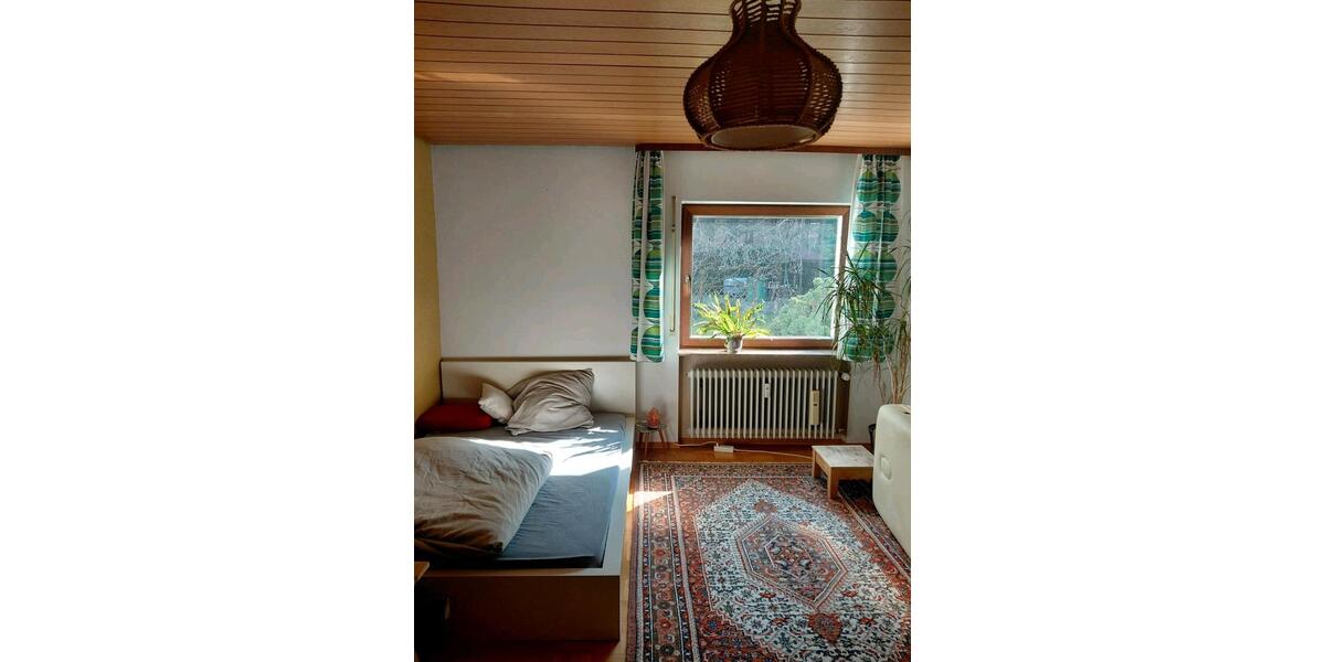 Erdgeschoßwohnung Wilgartswiesen - 3 Zimmer, 140 m&sup2;, 1.300&euro; | Angebot:26124462