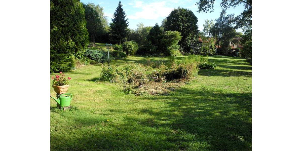 ObjNr:19712 - Saniertes freistehendes Einfamilienhaus auf parkähnlichem Grundstück - Einfamilienhaus Rockenhausen | Angebot:21381796