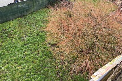 Haus Bruchmühlbach-Miesau Miesau - 2 Zimmer, 145 m&sup2;, 1.100&euro; | Angebot:25569679