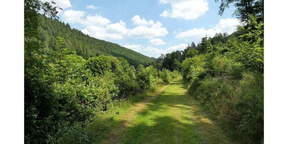 Grundstück Rodalben - 149.000&euro; | Angebot:24595212