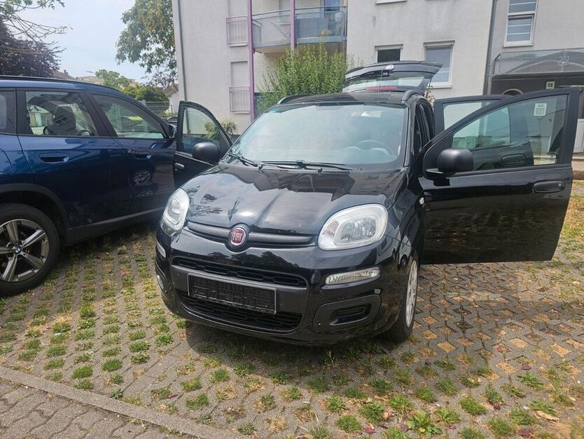 Panda