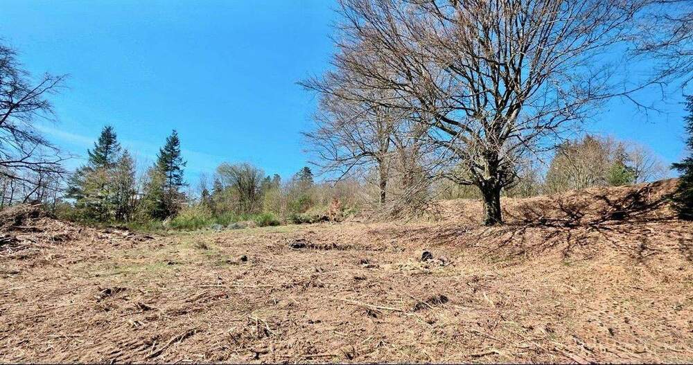 Grundstück Trippstadt - 220.000&euro; | Angebot:25044932