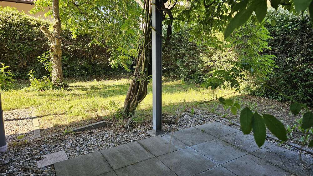 Etagenwohnung Wachenheim an der Weinstraße - 3 Zimmer, 90 m&sup2;, 375.000&euro; | Angebot:26855489