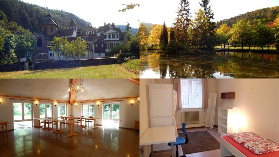 Etagenwohnung Lambrecht (Pfalz) - 1 Zimmer, 10 m&sup2;, 315&euro; | Angebot:24677646