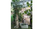 Einfamilienhaus Rockenhausen - 379.000&euro; | Angebot:26870243