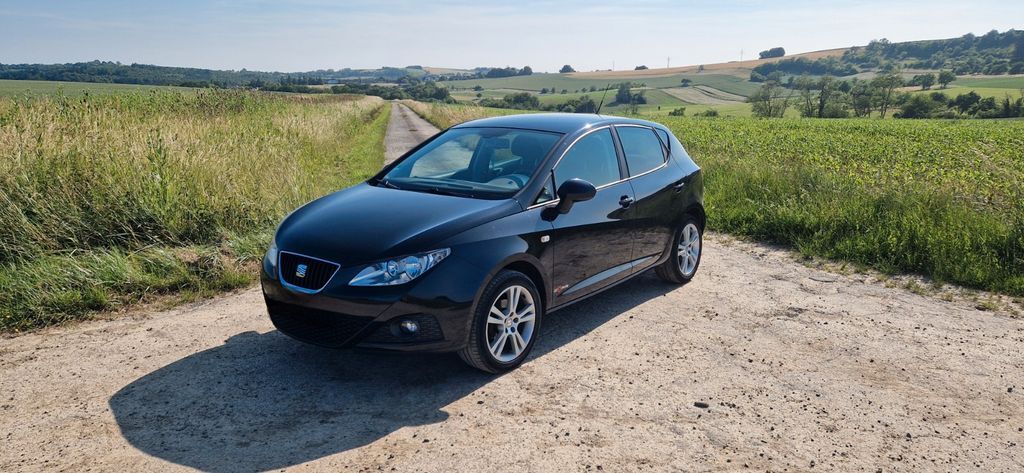 Seat Ibiza 124.000 km 6.000 € Battweiler 66484