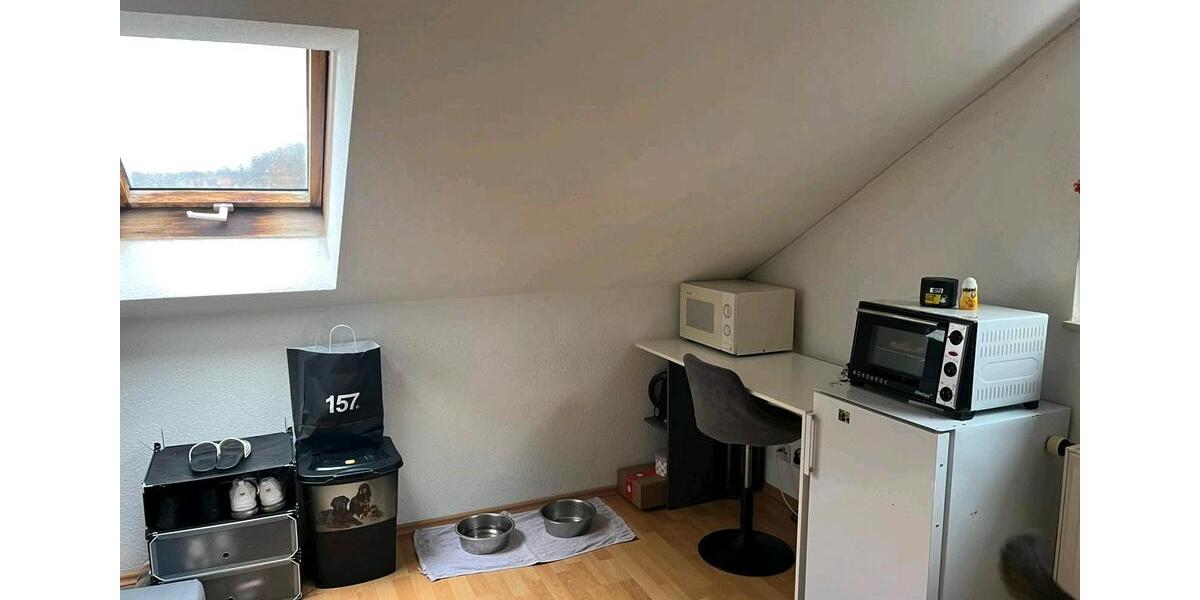Dachgeschoßwohnung Kaiserslautern Einsiedlerhof - 1 Zimmer, 40 m&sup2;, 650&euro; | Angebot:24693980