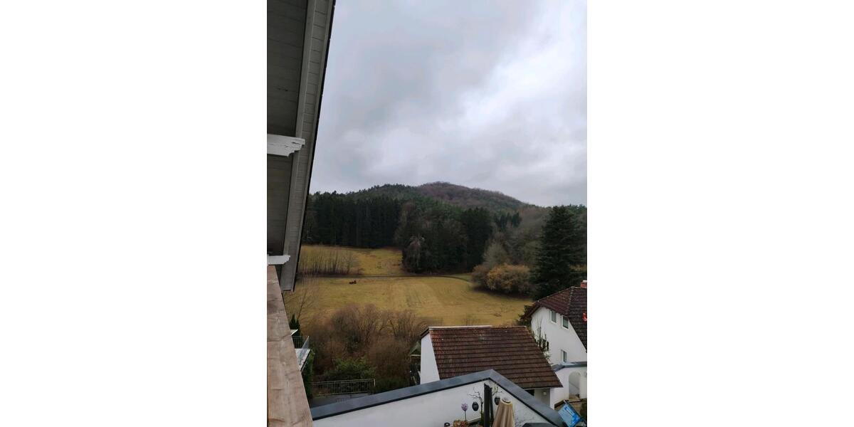 Dachgeschoßwohnung Krickenbach - 4 Zimmer, 108 m&sup2;, 1.200&euro; | Angebot:26185166