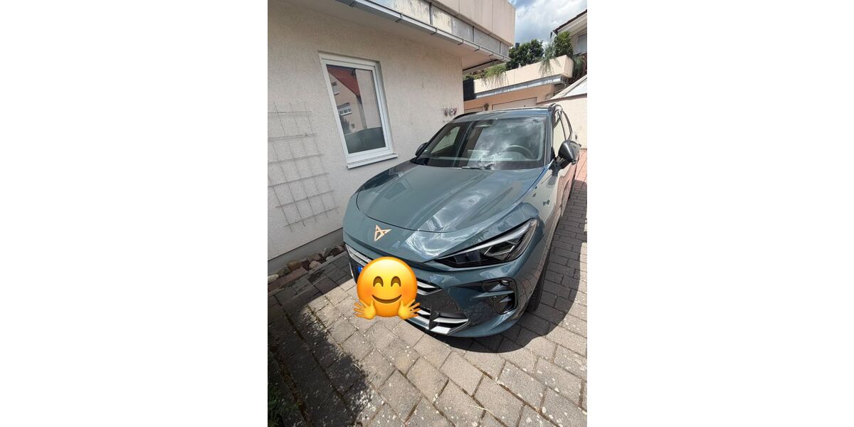 Cupra Terramar 15.500 km 44.500 &euro; Bad Dürkheim 67098