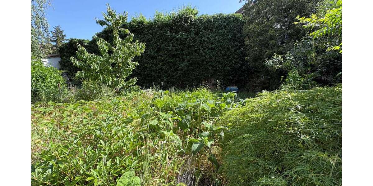 Etagenwohnung Neustadt an der Weinstraße - 4 Zimmer, 86 m&sup2;, 199.000&euro; | Angebot:26894989