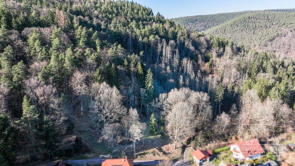 Grundstück Elmstein Schafhof - 165.000&euro; | Angebot:26155236