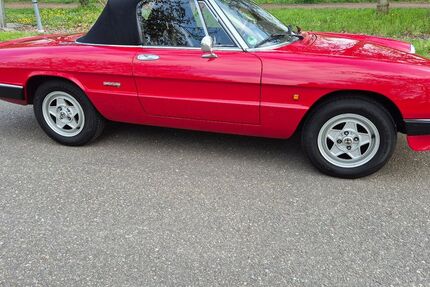 Alfa Romeo Spider 113.200 km 16.900 &euro; Eußerthal 76857