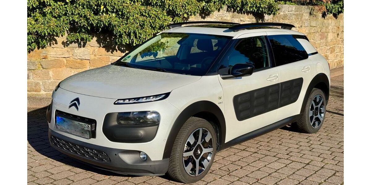 Citroen C4 Cactus 120.000 km 10.799 € Bad Dürkheim 67098