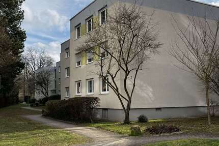 Wohnung zum Kaufen in Kaiserslautern 257.500 € 84 m² 4 zimmer