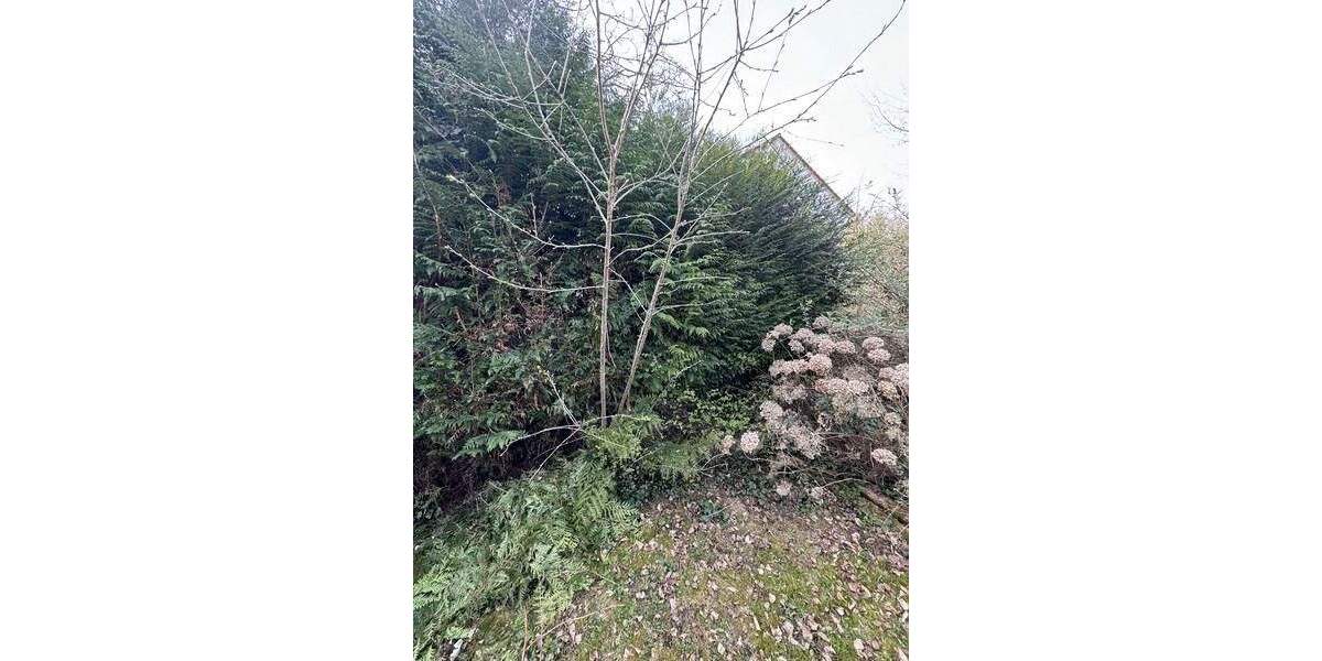 Grundstück Kaiserslautern Dansenberg - 112.500&euro; | Angebot:25912952